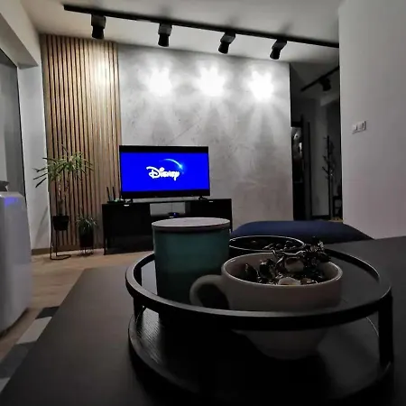 Apartament Loft Przy Wisniowej Pszczyna Zewnętrze zdjęcie