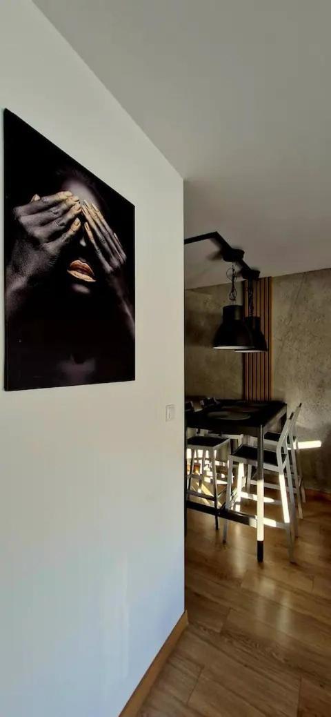 Loft Przy Wisniowej Apartment Pless